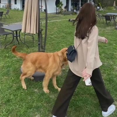 阿拉巴马的月亮